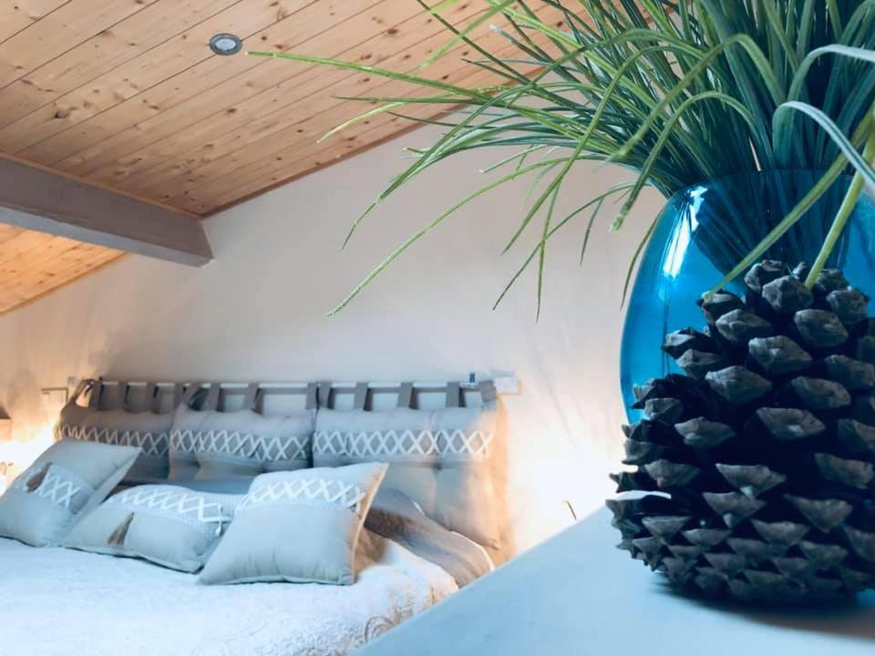 Le Chai De L'Ocean -Maison Plage A 300M - Jardin Terrasse سولاك سور مير المظهر الخارجي الصورة